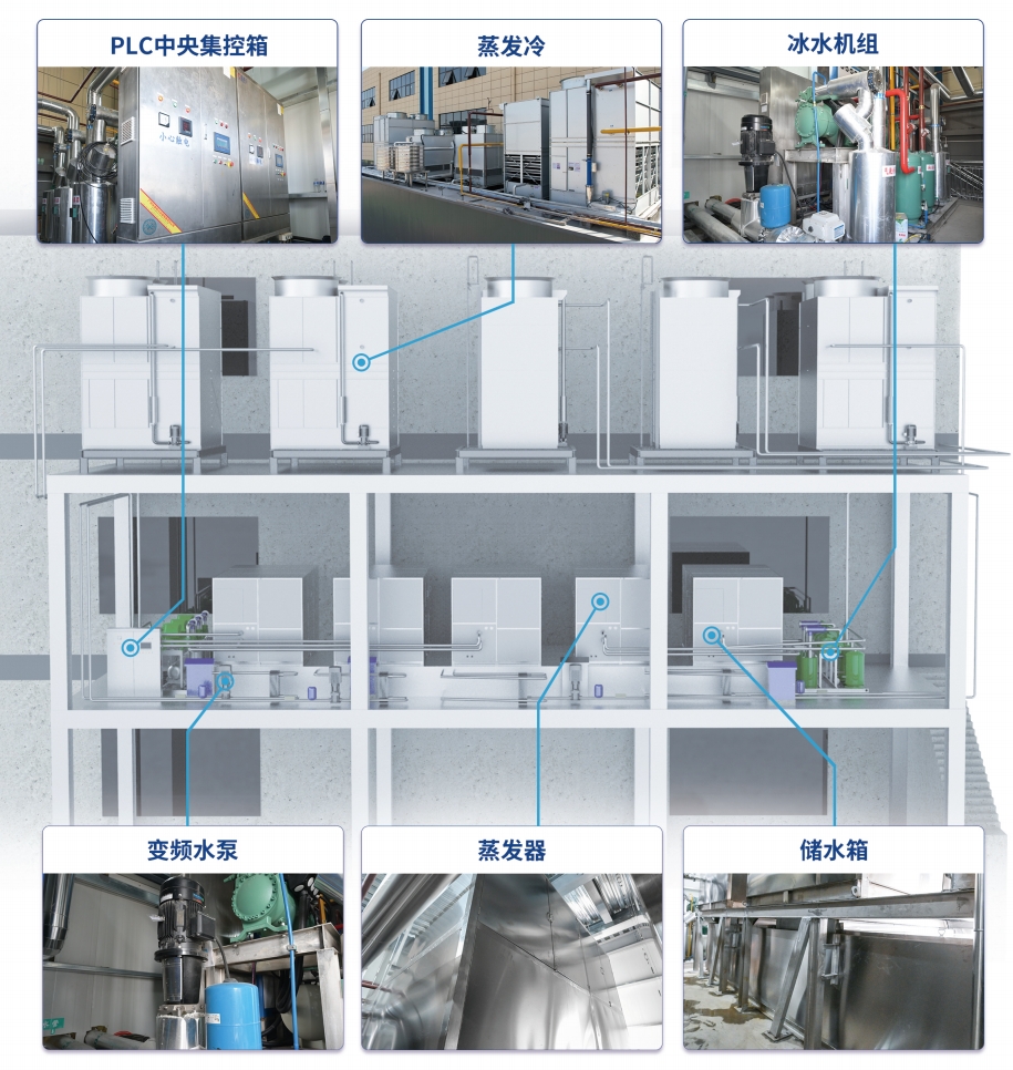 經(jīng)過(guò)冰水處理的荔枝