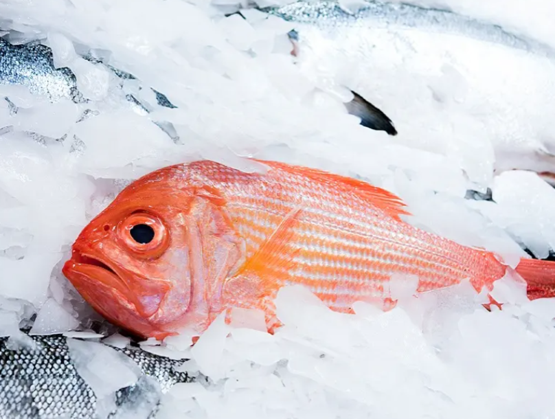 在高溫高濕的環(huán)境下，機器內(nèi)部容易產(chǎn)生冷凝水，這些水分會附著在冰塊上，使其變得濕潤