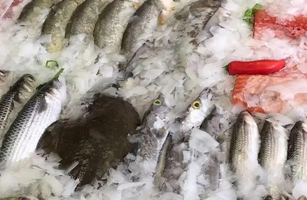 片冰機(jī)的水要加鹽嗎？