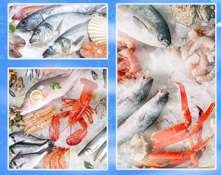 15噸片冰機(jī)的用途