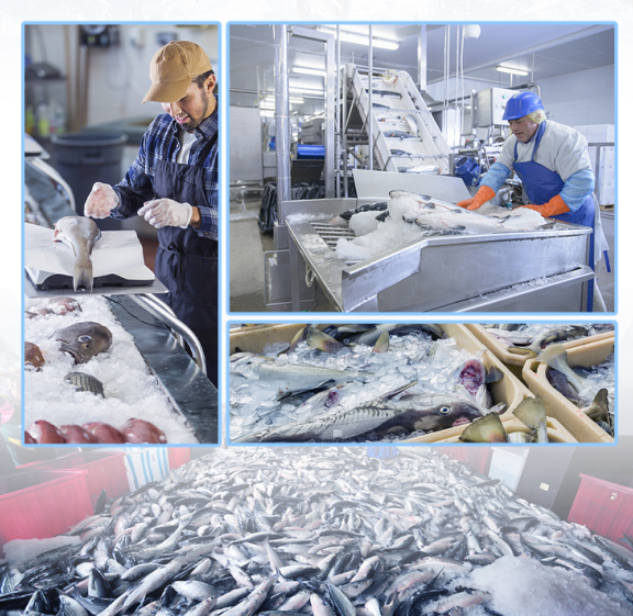 自動加水、制冰到脫冰，全過程不需要人工干涉