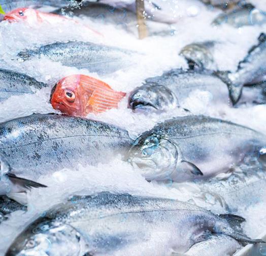 三、適用行業(yè)?