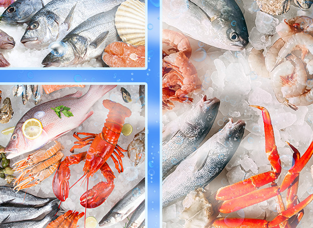 應(yīng)用領(lǐng)域 應(yīng)用領(lǐng)域